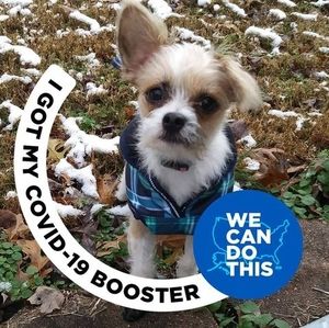 Meet your Posher, Deborah